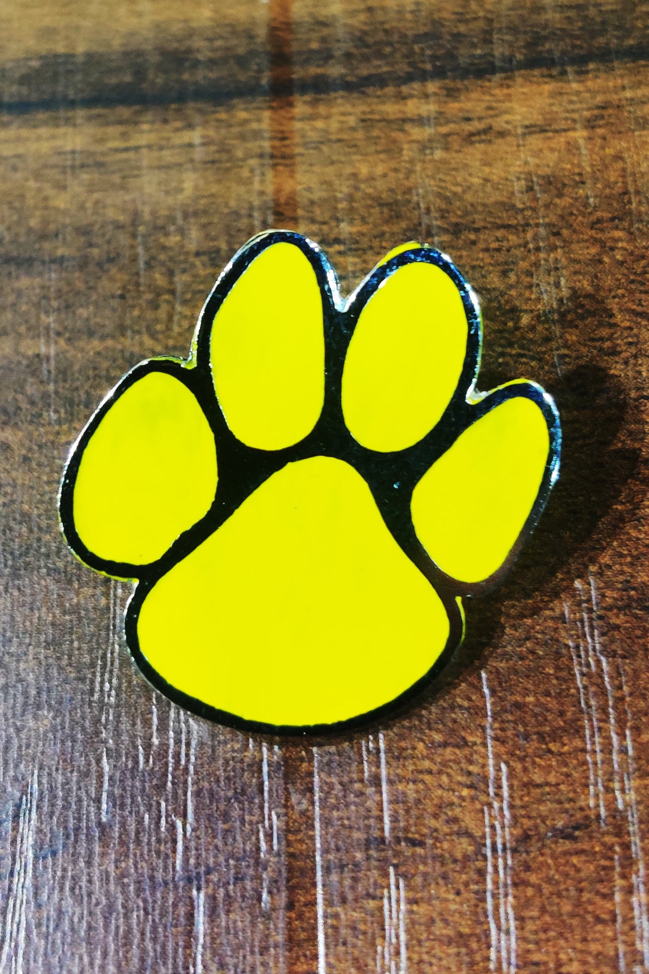 Pugmark Pin