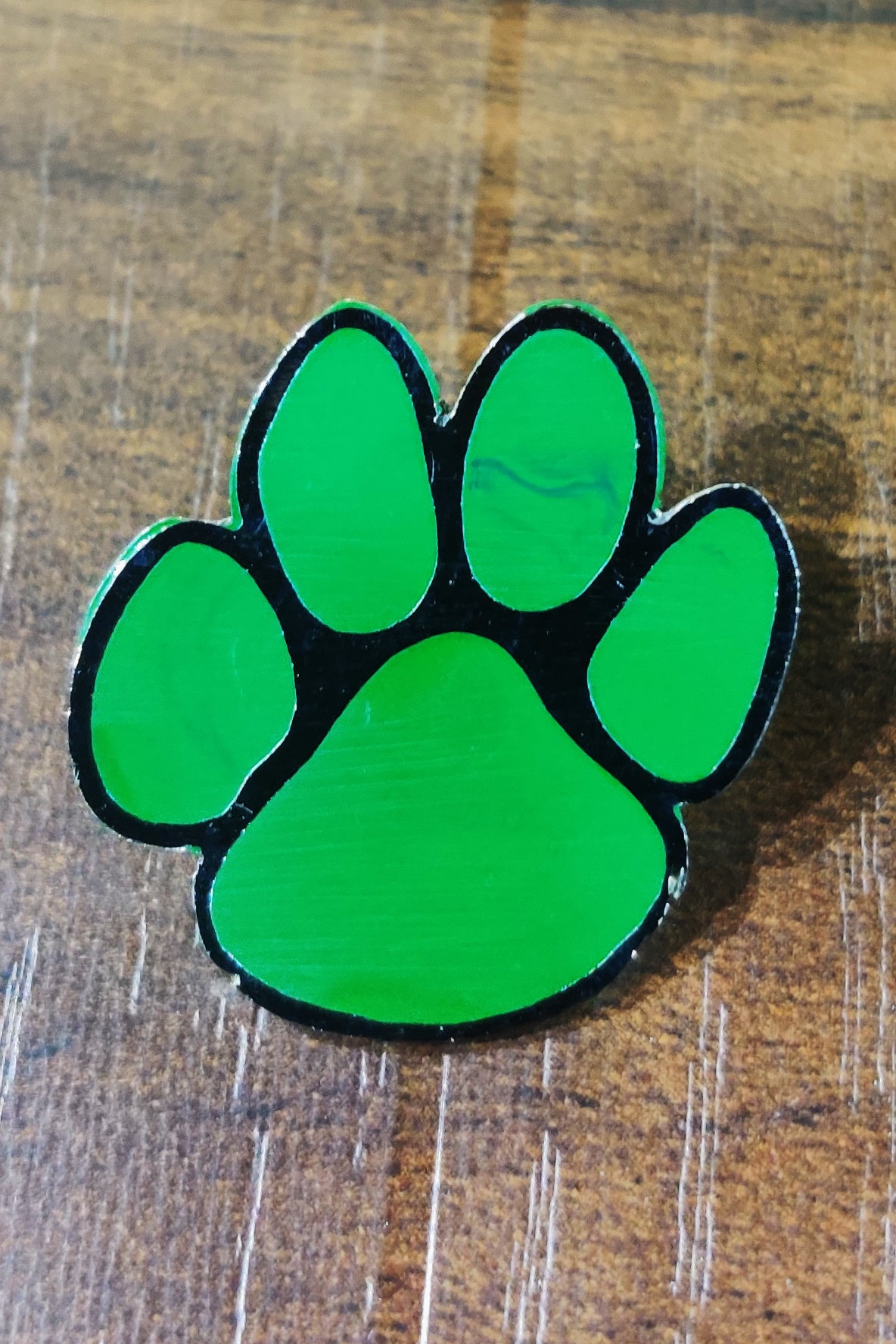 Pugmark Pin